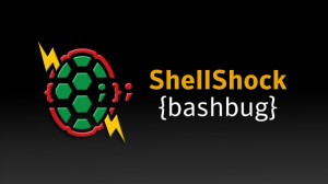 shellshock_Linux_check.jpeg